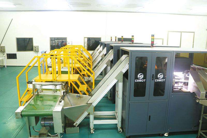 打造全产业链条推动高质量发展——随州香菇全产业链发展扫描